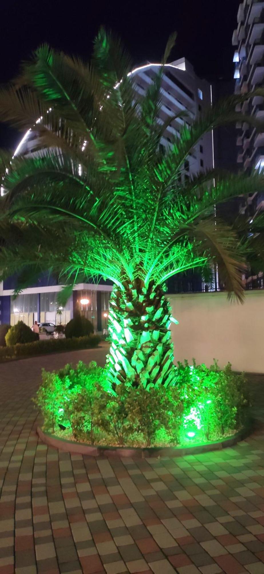 Sea Home Batumi Apartments מראה חיצוני תמונה